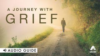 A Journey With Grief 2Samuel 1:12 Almeida Revista e Atualizada