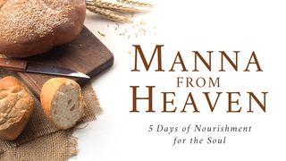 Manna From Heaven: 5 Days of Nourishment for the Soul Romans 9:1-5 The Message