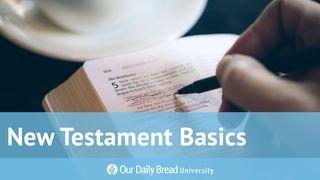 Our Daily Bread University - New Testament Basics John 10:38 New Living Translation