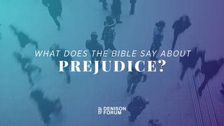 What Does the Bible Say About Prejudice?  ДЗЕІ 11:17-18 Біблія (пераклад А.Бокуна)