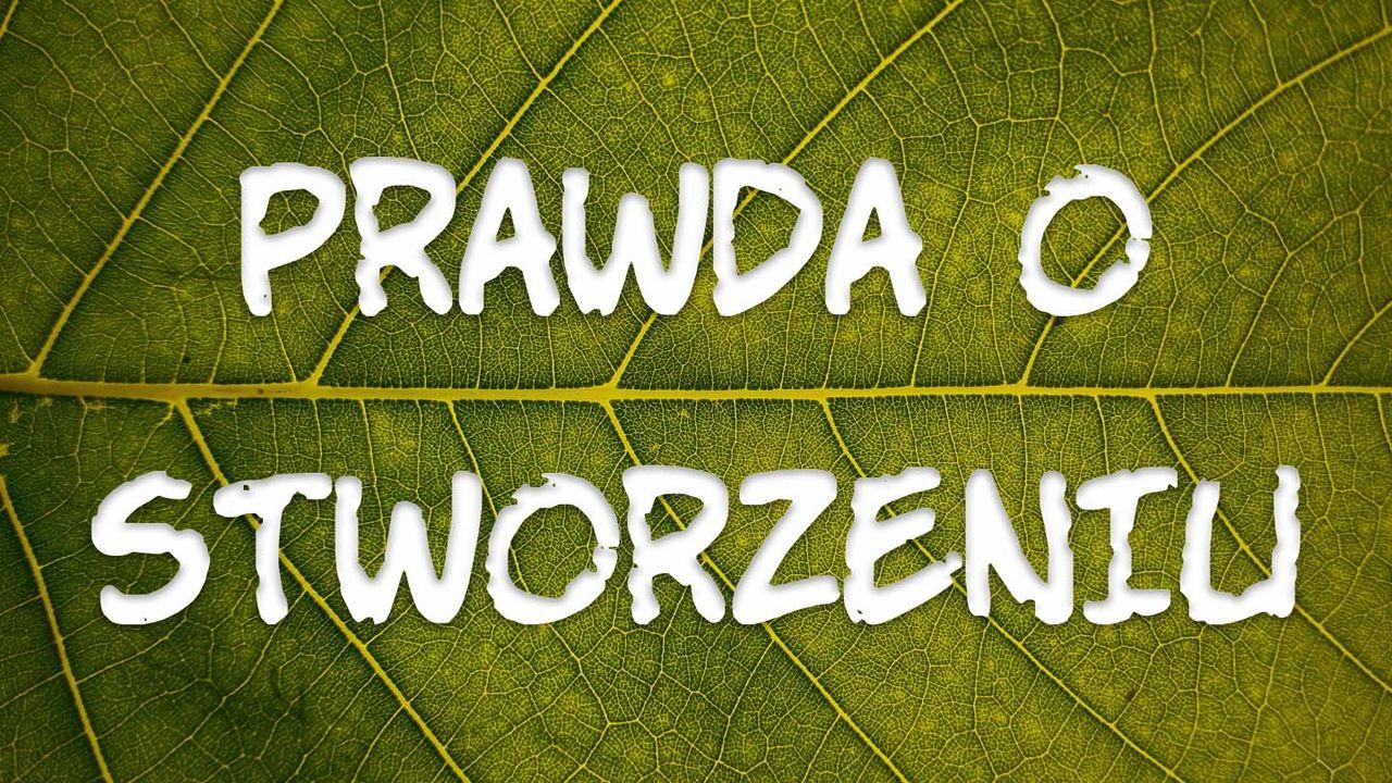 Prawda o stworzeniu