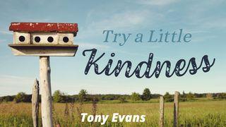 Try a Little Kindness Galatians 6:10 Amplified Bible