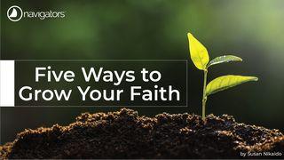 Five Ways to Grow Your Faith  Psalms 119:93 New King James Version