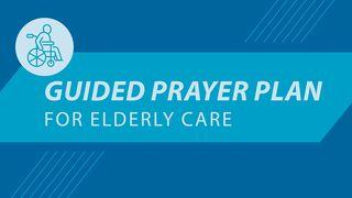 Prayer Challenge: Elderly Care De Psalmen 82:3 Statenvertaling (Importantia edition)