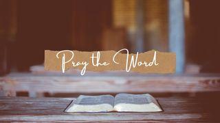 Pray the Word Colossians 1:9-12 English Standard Version 2016