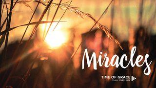 Miracles: Video Devotions From Your Time Of Grace Luke 7:12-15 New King James Version