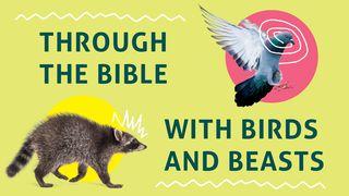 Through the Bible With Birds and Beasts Markus 1:10-11 Riang