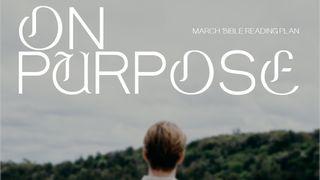 On Purpose: Nehemiah and Esther Nehemiah 9:12 American Standard Version