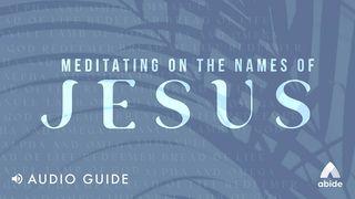 Meditating on the Names of Jesus Jesaja 59:20 Bibel 2000