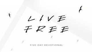 Live Free John 8:36 Ne Saint John 1804