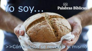 "Yo Soy": Cómo Jesús Se Revela a Sí Mismo Juan 6:19-20 Traducción en Lenguaje Actual