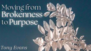 Moving From Brokenness to Purpose エゼキエル書 37:1-2 リビングバイブル