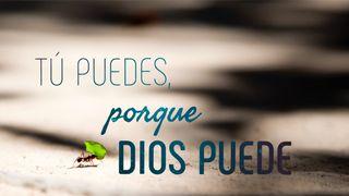 Tú Puedes, Porque Dios Puede Efesios 1:23 Biblia Reina Valera 1960