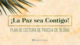 ¡La Paz Sea Contigo! Isaías 2:2-3 Biblia Dios Habla Hoy