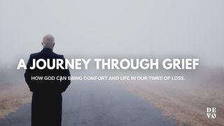 A Journey Through Grief  2 Corinthians 1:3-4 Amplified Bible