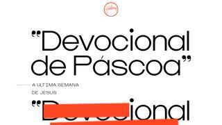 "Devocional de Páscoa" (Hillsong Portugal) JOÃO 20:11-29 a BÍBLIA para todos Edição Católica