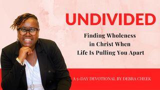 Undivided: Finding Wholeness in Christ When Life Is Pulling You Apart SALMOS 73:28 a BÍBLIA para todos Edição Católica