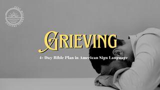 Grieving  Jesaja 40:11 NBG-vertaling 1951