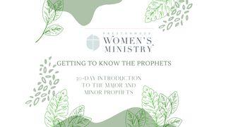 Getting to Know the Prophets Isaiah 1:1-17 New International Version