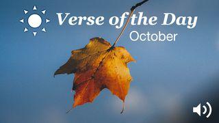 YouVersion Verse Of The Day: October Przypowieści Salomona 27:5 Nowa Biblia Gdańska