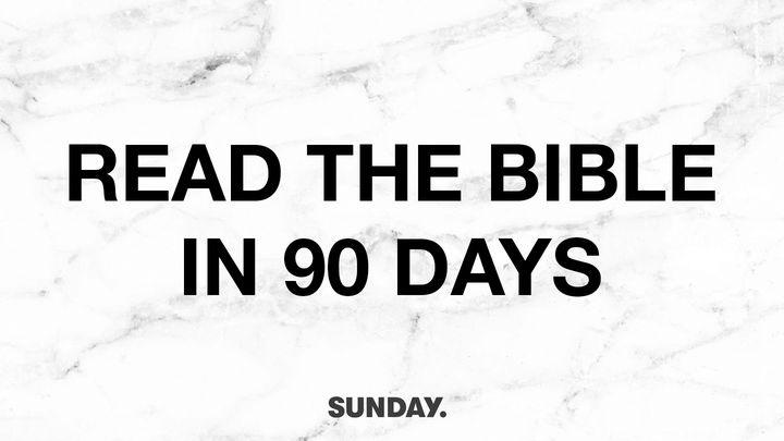 The Bible Study: 90 Days