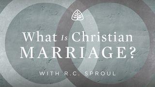 What Is Christian Marriage? Spreuken 19:20 Het Boek