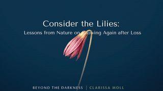 Consider the Lilies: Lessons From Nature on Growing Again After Loss Jesaja 35:3-4 Het Boek