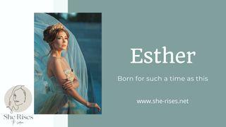 Esther, Born for Such a Time as This எஸ்தர் 9:20-22 இந்திய சமகால தமிழ் மொழிப்பெயர்ப்பு 2022