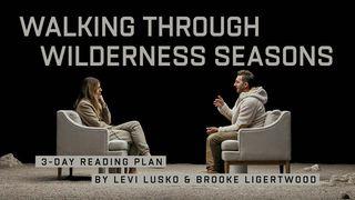 Walking Through Wilderness Seasons: 3-Day Reading Plan by Levi Lusko and Brooke Ligertwood Revelation 2:9-11 New International Version