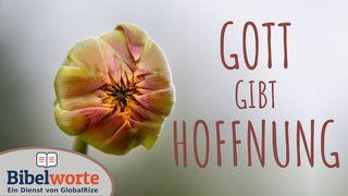 Gott gibt Hoffnung! 1. Petrus 1:5-7 Hoffnung für alle