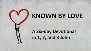 Known by Love: A Six-Day Devotional in 1, 2, and 3 John 1 Johannes 5:18 Het Boek