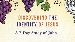 Discovering the Identity of Jesus Daniel 7:14 Beibl Cymraeg Newydd Diwygiedig 2004