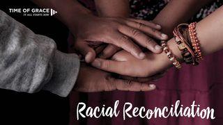 Racial Reconciliation: Devotions From Time Of Grace Romanos 15:7 Bíblia Sagrada, Nova Versão Transformadora