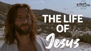 The Life of Jesus 约翰福音 12:40 新标点和合本, 神版