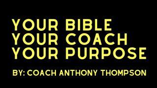 Your Bible, Your Coach, Your Purpose  2 Corinthians 5:10-11 English Standard Version 2016