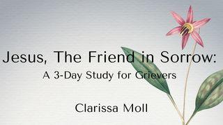 Jesus, the Friend in Sorrow: A 3-Day Study for Grievers Philippians 2:9 King James Version