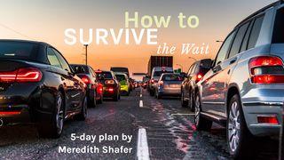 How to Survive the Wait Isaiah 25:1 The Passion Translation