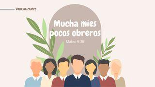 Mucha Mies Pocos Obreros Lucas 10:2 La Biblia de las Américas