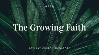 The Growing Faith 2 КАРЫНЬЦЯНАЎ 7:1 Біблія (пераклад А.Бокуна)