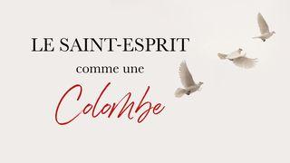  Le Saint-Esprit Comme Une Colombe - Freddy De Coster Genèse 6:15 Parole de Vie 2017