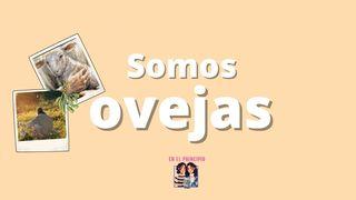 Somos Ovejas Salmos 23:1-2 Reina Valera Contemporánea