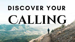 Discover Your Calling Лукастар 16:10 Біблія про закарпатцько романо чіб