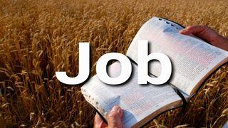 Job en 10 Versículos Job 42:10 Biblia Dios Habla Hoy