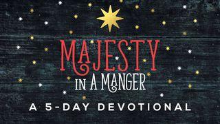 Majesty In A Manger Jesaja 53:8 Statenvertaling (Importantia edition)