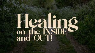 Healing on the Inside and Out 出埃及记 15:27 当代译本