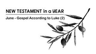 New Testament in a Year: June Lukas 16:18 Taaz Weru Witu u Nunuwu'en Tombulu