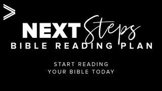 Next Steps - Start Reading Your Bible Today! 马太福音 20:20-27 新标点和合本, 神版