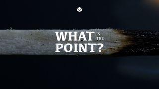 What's the Point? (A Study in Ecclesiastes: Part 1) Ecclesiastes 9:12 New Living Translation