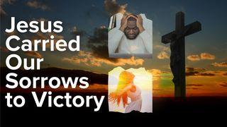 Jesus Carried Our Sorrows to Victory                                                 约翰福音 12:40 新标点和合本, 神版