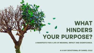 What Hinders Your Purpose? Eclesiastés 2:10 La Biblia de las Américas